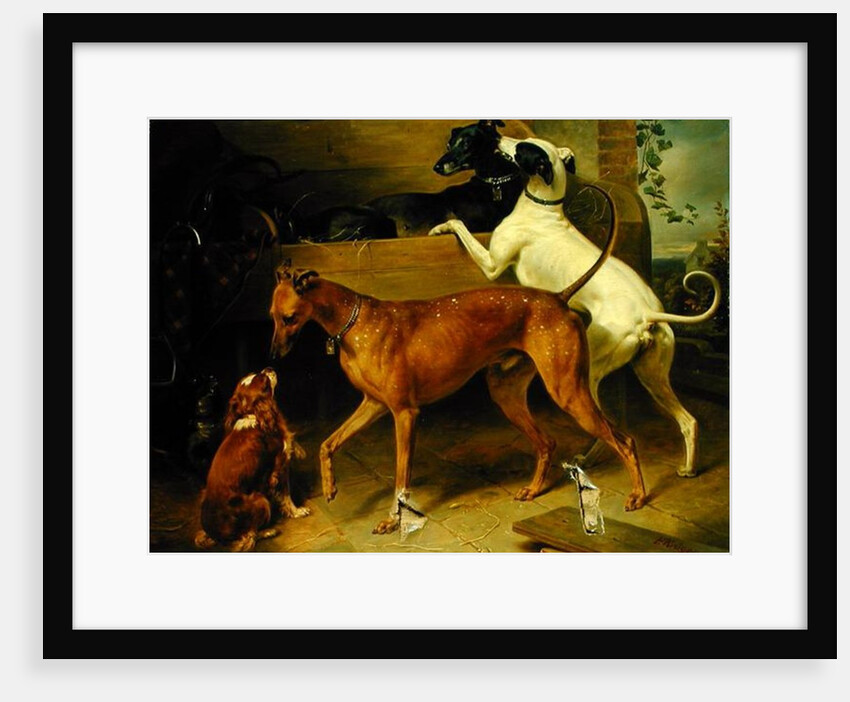 Kruger's Dogs, 1855 by Franz Kruger