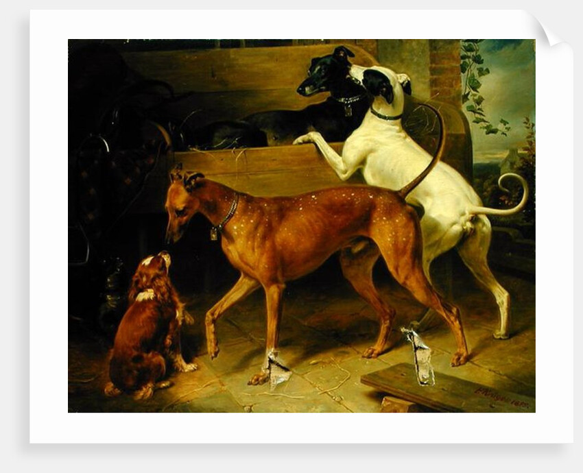 Kruger's Dogs, 1855 by Franz Kruger
