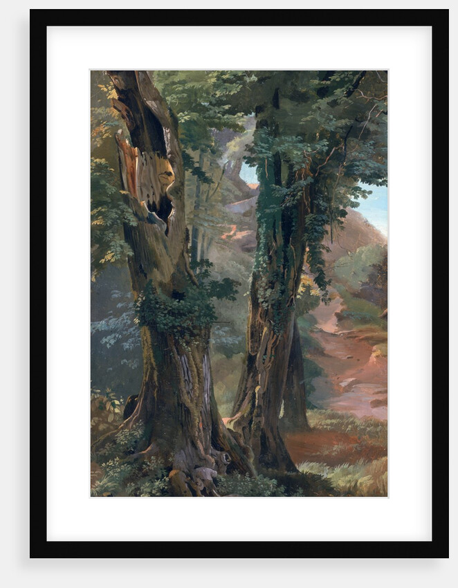 Old Elms, c.1835 by Friedrich Nerly