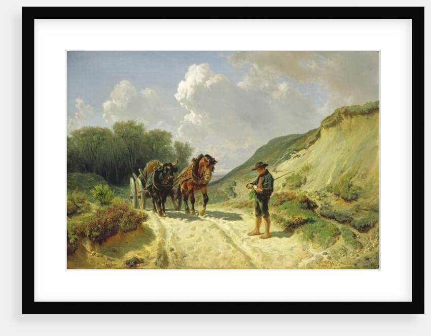 Two Types of Harness by Hermann Kauffmann