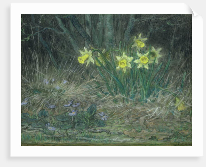 Narcissi and Violets, c.1867 by Jean-Francois Millet