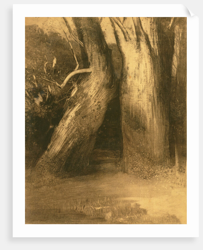 Two Trees, c.1875 by Odilon Redon