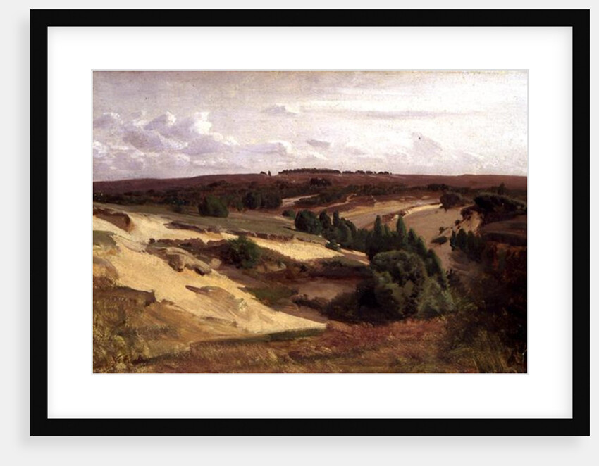 The heath near Bispingen, 1887 by Valentin Ruths