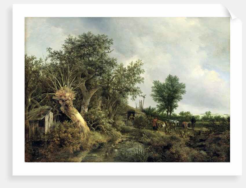 Landscape with a Hut, 1646 by Jacob Isaaksz. or Isaacksz. van Ruisdael