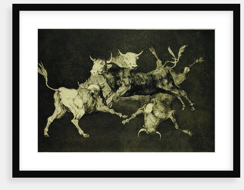 Folly of the Bulls by Francisco Jose de Goya y Lucientes