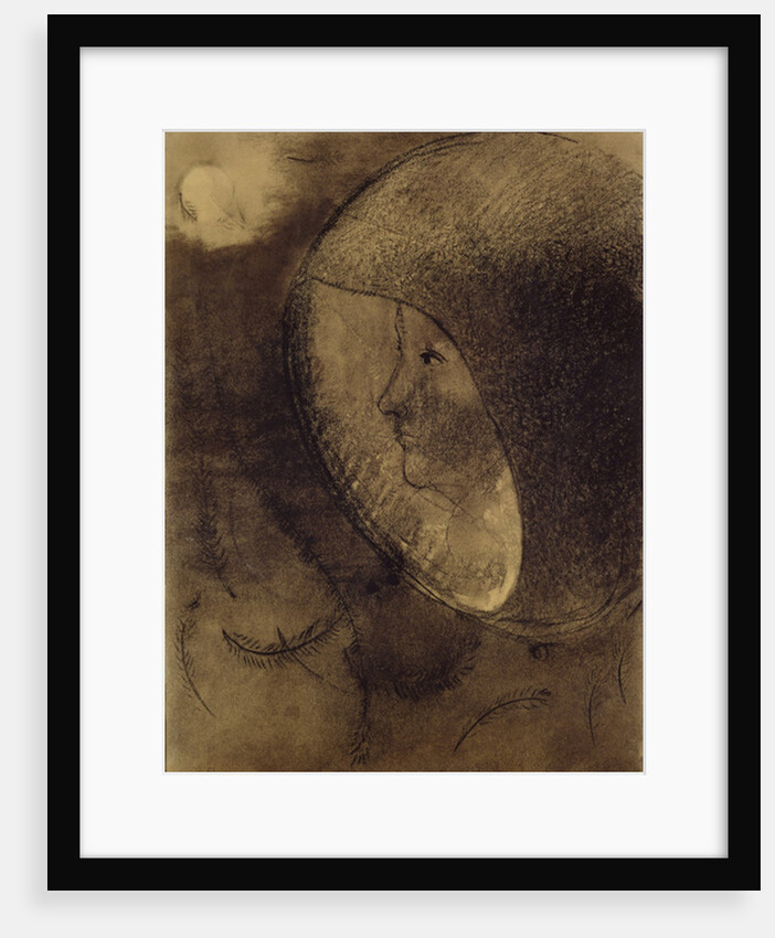 Cellular Face, 1895 by Odilon Redon