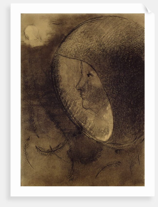Cellular Face, 1895 by Odilon Redon