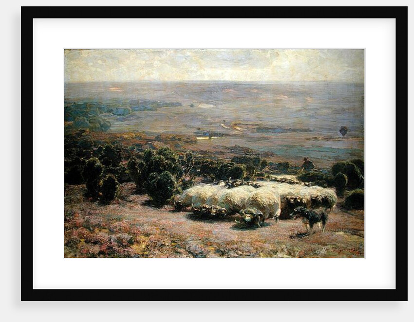 A Herd of Sheep in the Luneburger Heide, 1902 by Heinrich Johann von Zugel