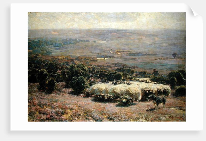 A Herd of Sheep in the Luneburger Heide, 1902 by Heinrich Johann von Zugel