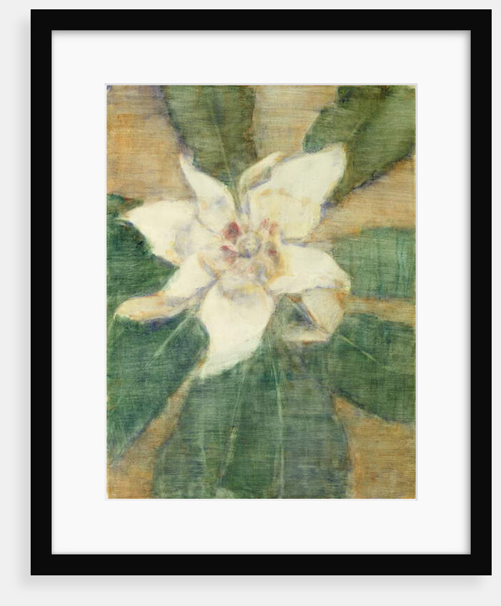 Magnolia Grandiflora by Christian Rohlfs