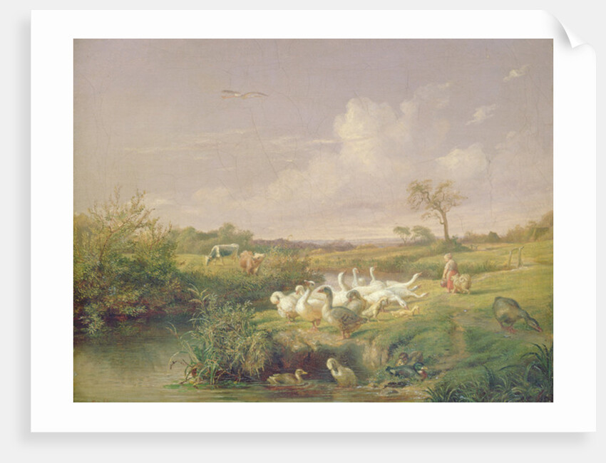 Geese Grazing, 1854 by Otto Speckter