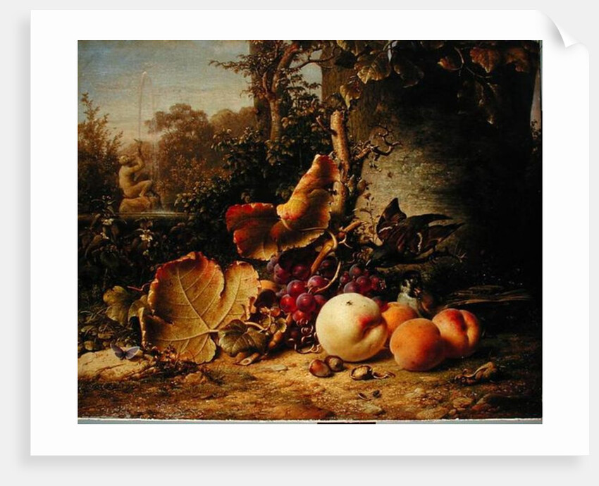 Fruit and Sparrows, 1863 by Johann Wilhelm Preyer
