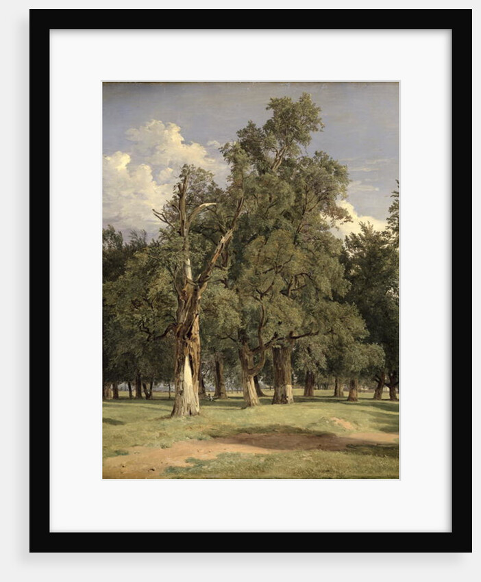 Elm trees in Prater, 1831 by Ferdinand Georg Waldmuller