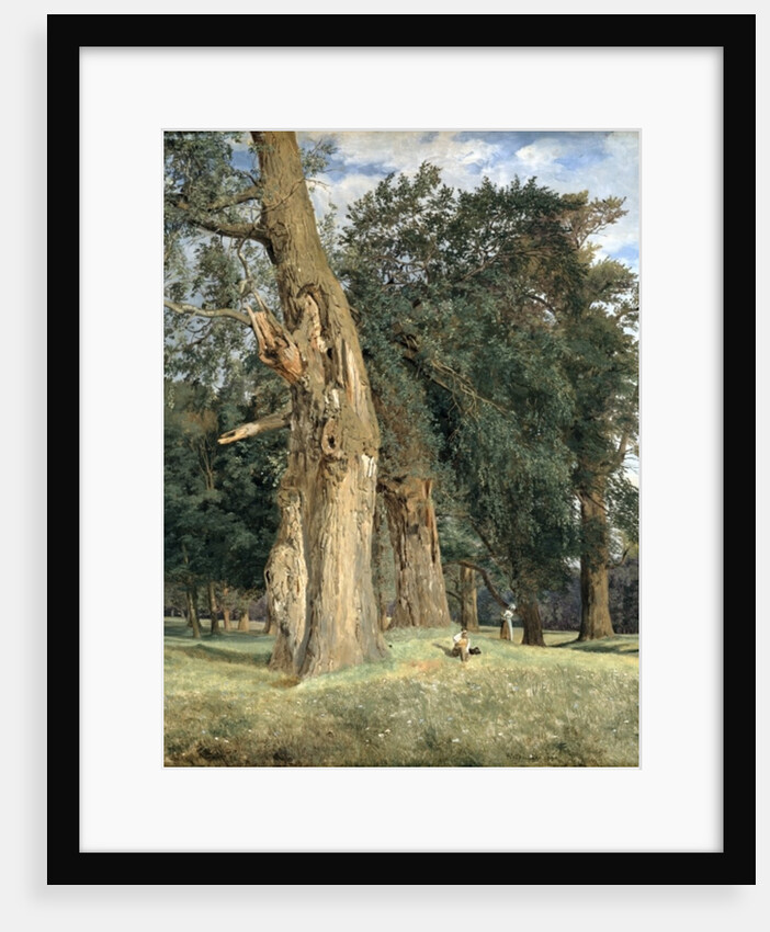 Old elms in Prater, 1831 by Ferdinand Georg Waldmuller