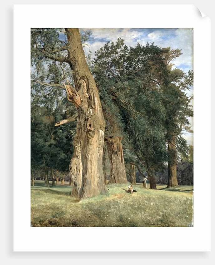 Old elms in Prater, 1831 by Ferdinand Georg Waldmuller