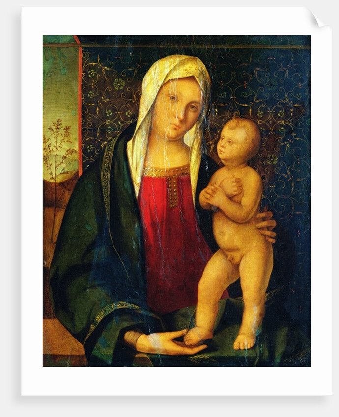 Madonna and Child by Boccaccio Boccaccino