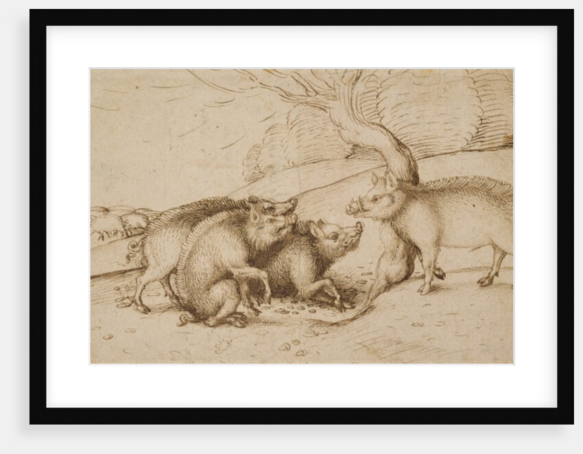 The Boar Family by Martin Schongauer