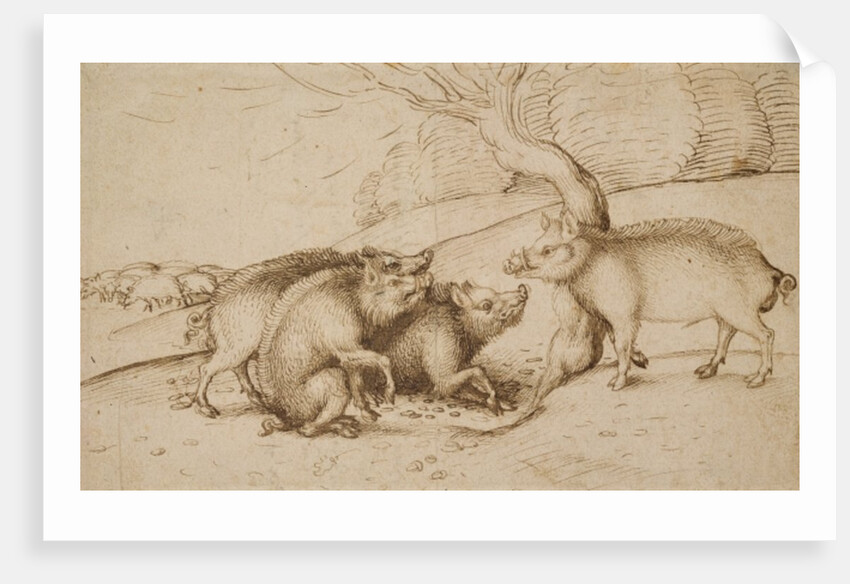 The Boar Family by Martin Schongauer