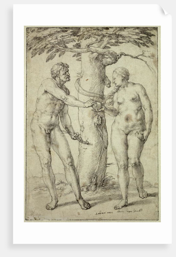 The Fall by Lucas van Leyden