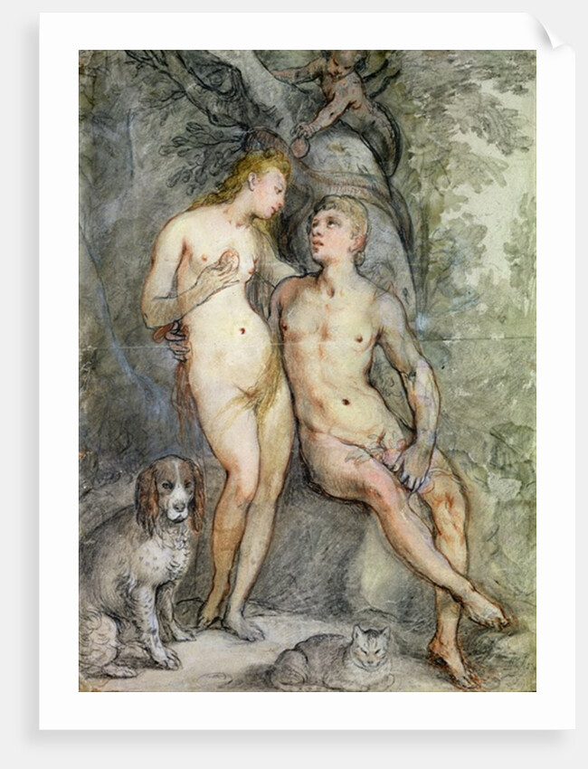 Adam and Eve by Hendrik Goltzius