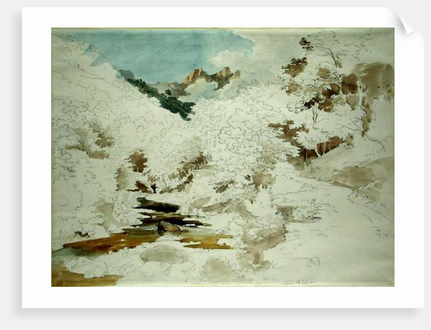 Woodland near Massa by Ernst Fries