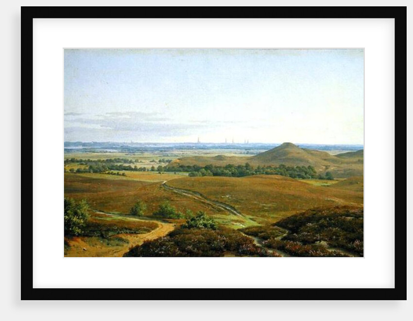 View of Hamburg by Adolf Carl