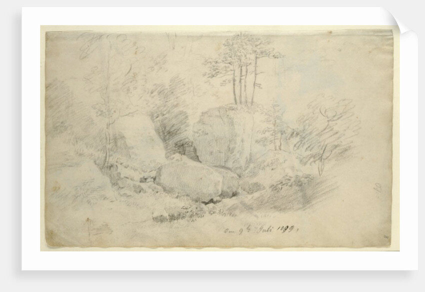 Boulders in Woodland, 1800 by Caspar David Friedrich
