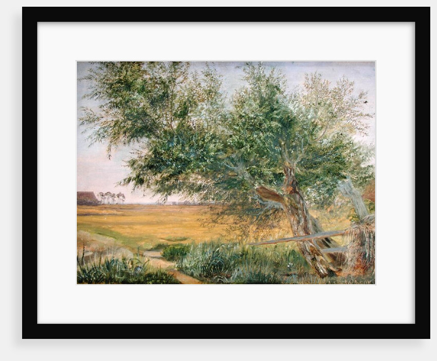 The Old Tree, 1842 by Jacob Gensler