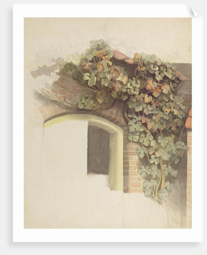 Grapevines on a Brick House, 1832 by Johann Martin Gensler