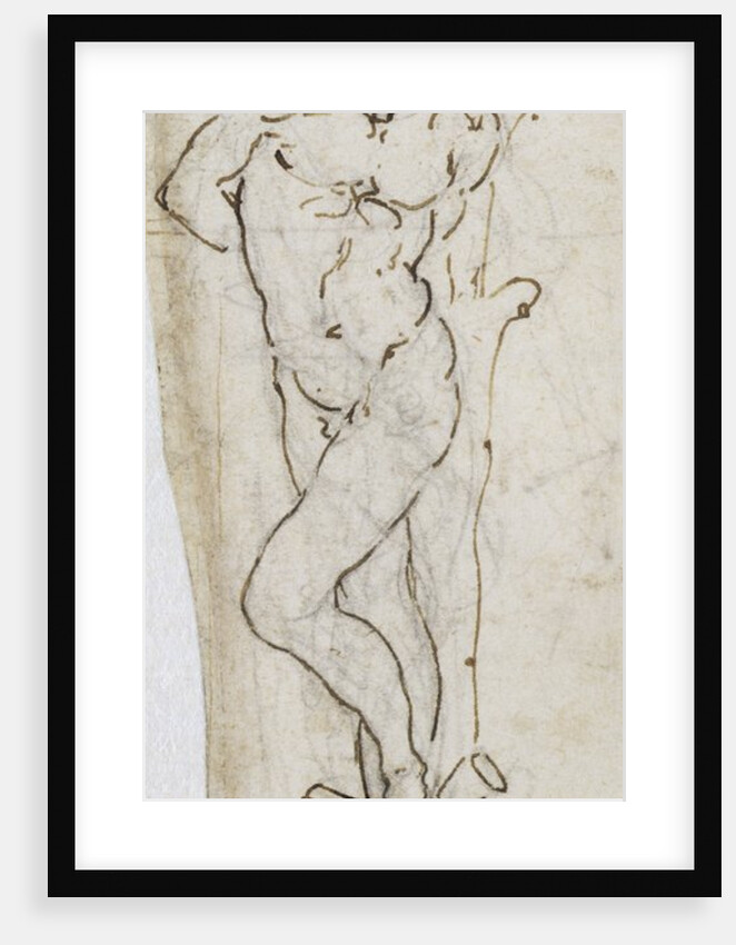 Study of St. Sebastian, 1480-81 by Leonardo da Vinci