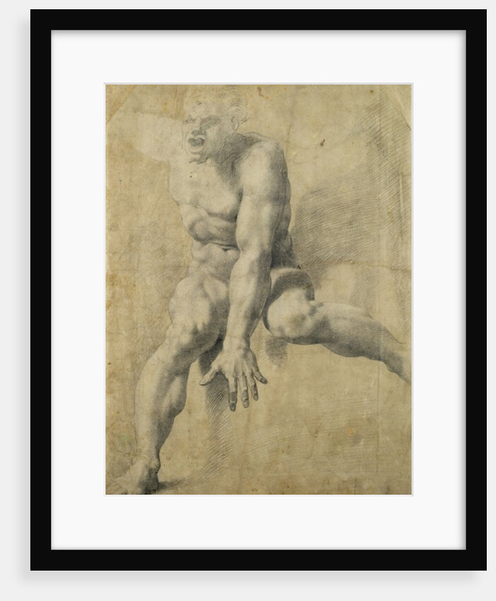 Polyphemus by Pellegrino Tibaldi