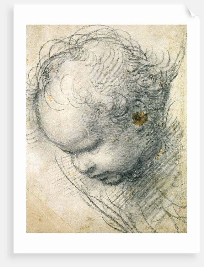 Head of a Cherub by Raphael