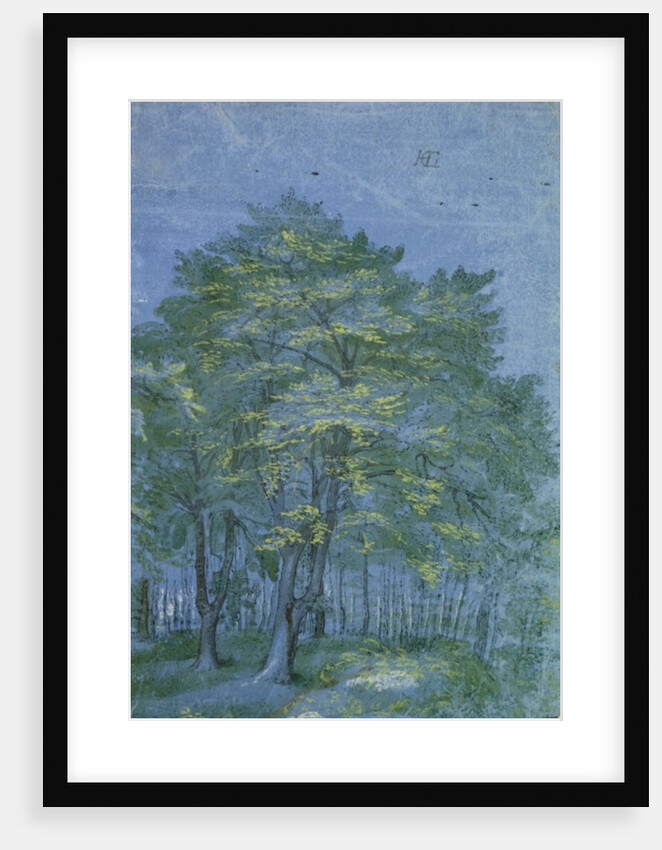 Group of Trees in a Wood, c.1600 by Hendrik Goltzius