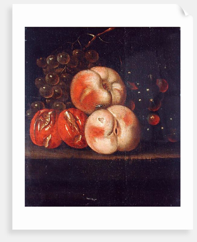 Fruit Study by Ernst Stuven