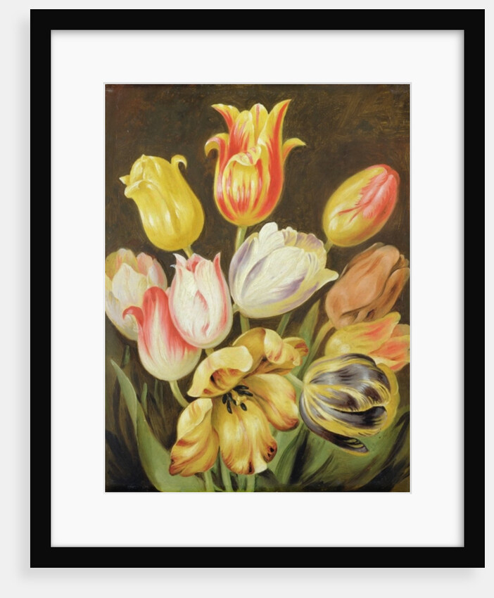 Flower Study by Johann Friedrich August Tischbein