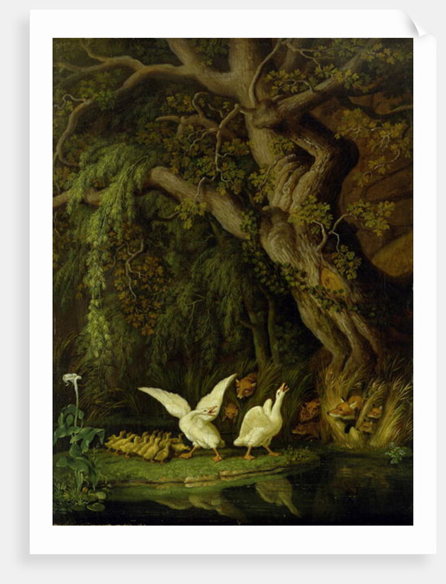 Foxes and Geese by Johann Heinrich Tischbein