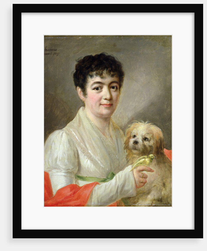 Portrait of an Unknown Woman, 1809 by Johann Ernst Heinsius