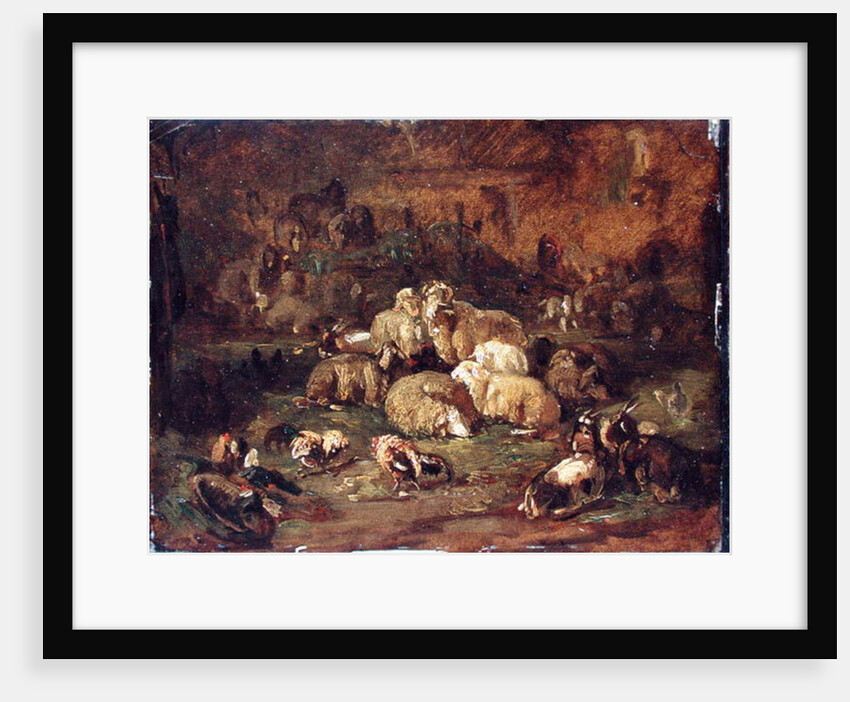 Sheep, Goats and Chickens by Johann Christian Reinhardt