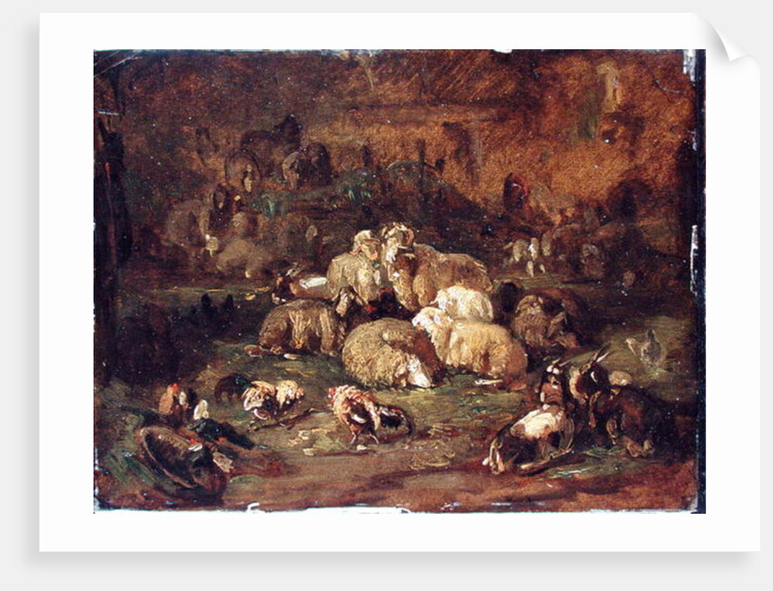 Sheep, Goats and Chickens by Johann Christian Reinhardt