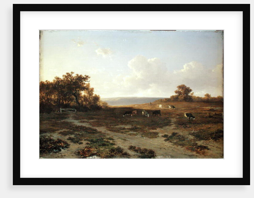 Heath Landscape with Cows, 1852 by Francois Auguste Ortmans
