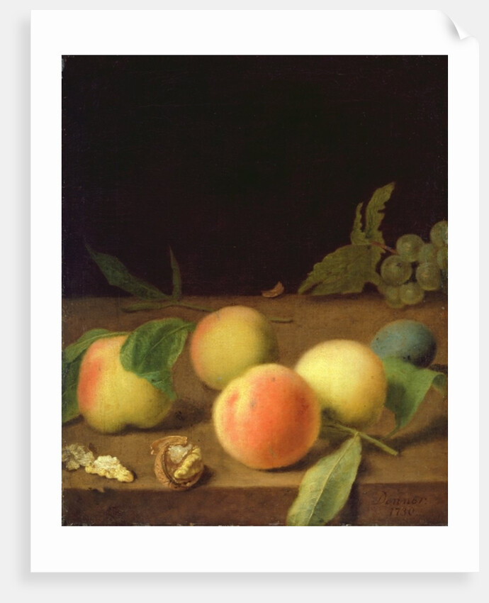 Fruit Still Life, 1730 by Balthasar Denner