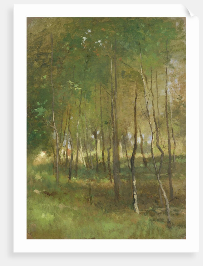 Wood by Thomas Ludwig Herbst