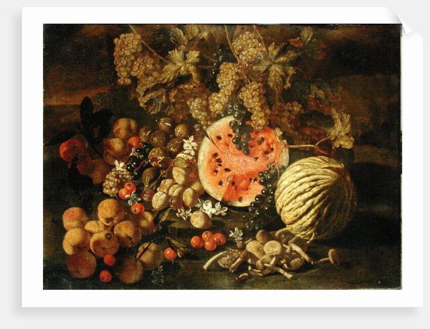 Still Life by Giovanni-Battista Ruoppolo or Ruopolo