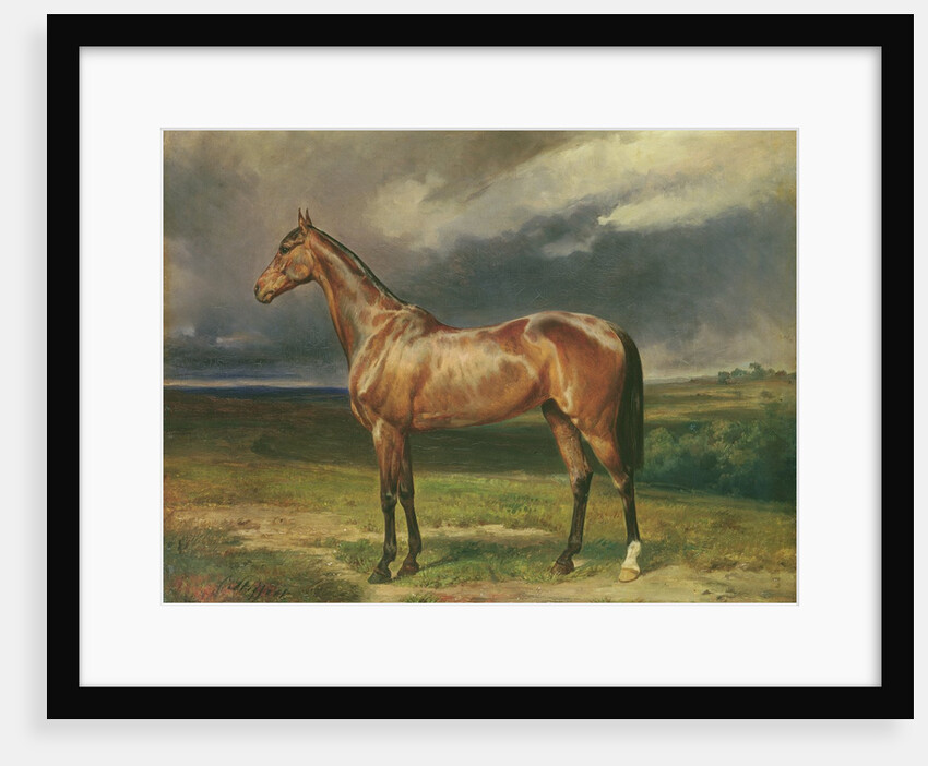 Abdul Medschid the chestnut arab horse, 1855 by Carl Constantin Steffeck