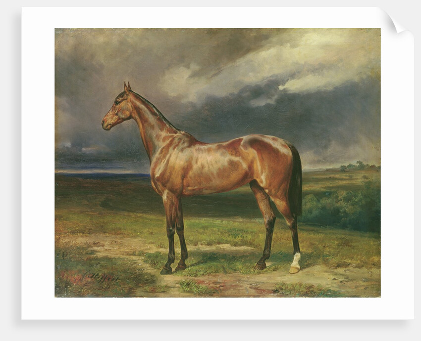 Abdul Medschid the chestnut arab horse, 1855 by Carl Constantin Steffeck
