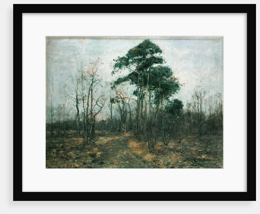 Park Landscape: Forest in Spring by Rudolf Hockner