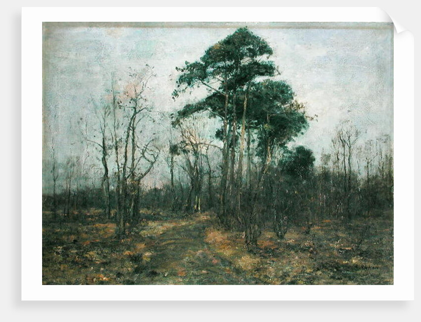 Park Landscape: Forest in Spring by Rudolf Hockner