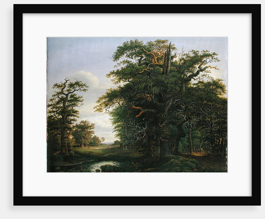 Oak Wood, 1847 by David Christopher Mettlerkamp