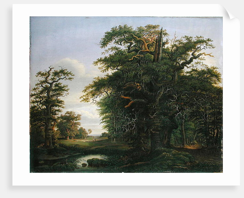 Oak Wood, 1847 by David Christopher Mettlerkamp