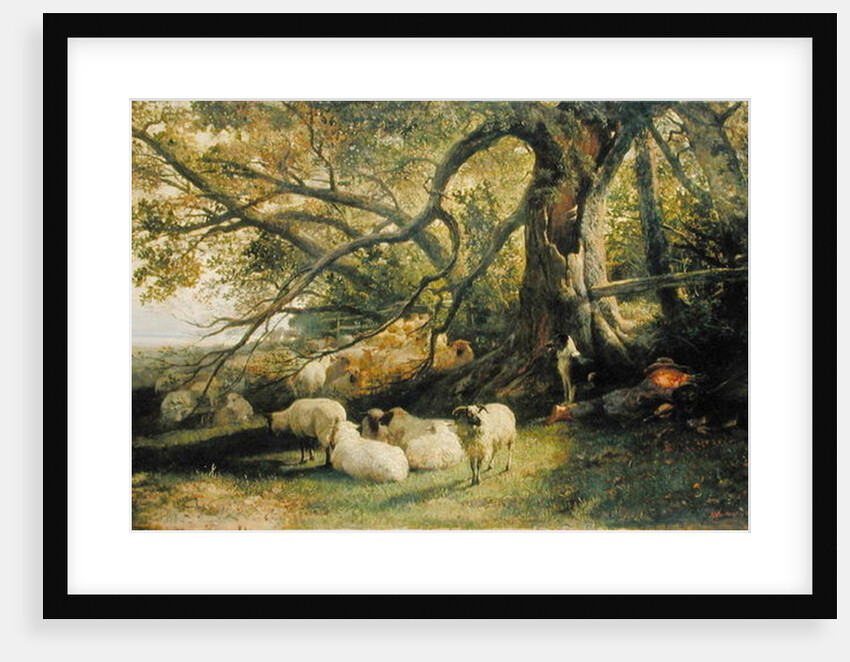 Resting Flock, 1863 by John William Bottomley